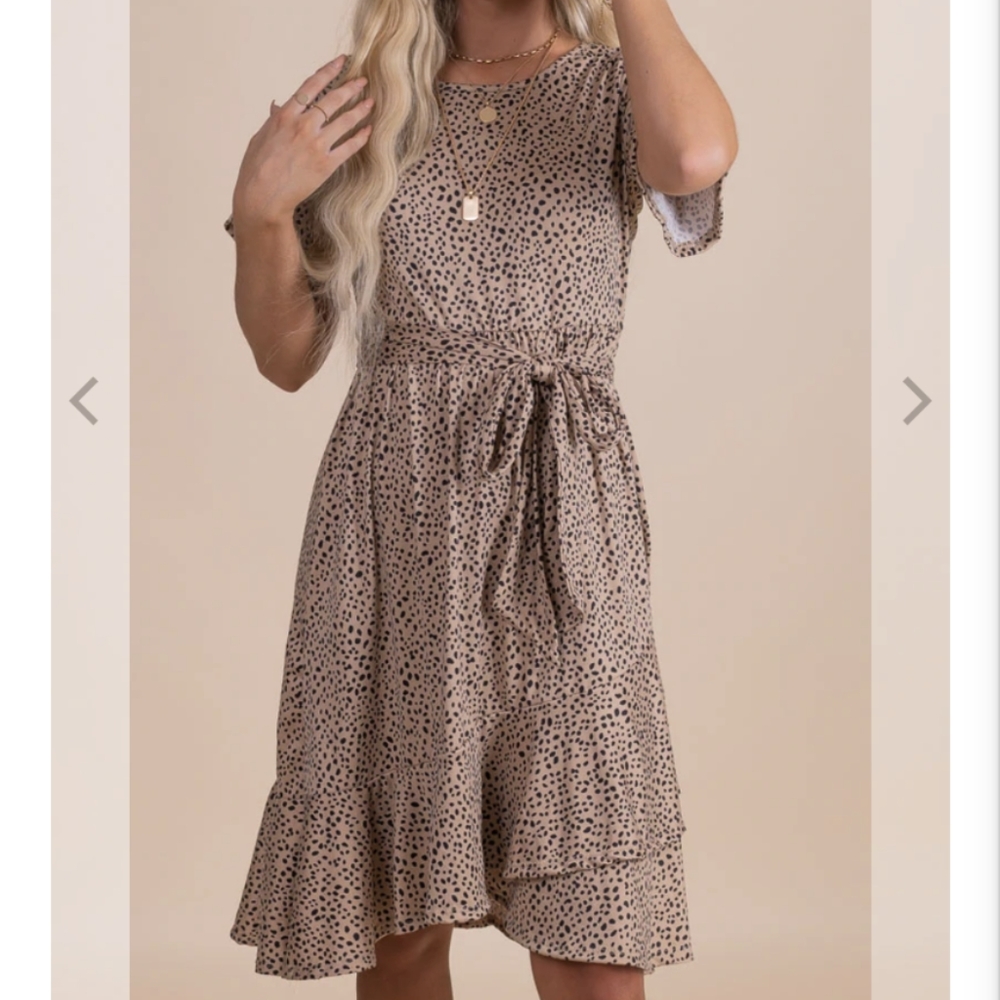 Taupe Knee Length Dress